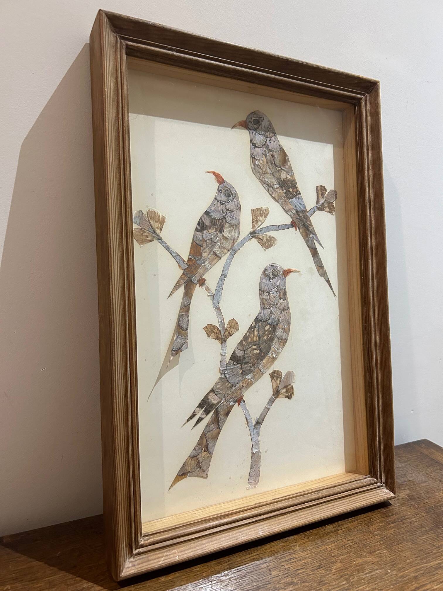 cadre sous verre aux oiseaux