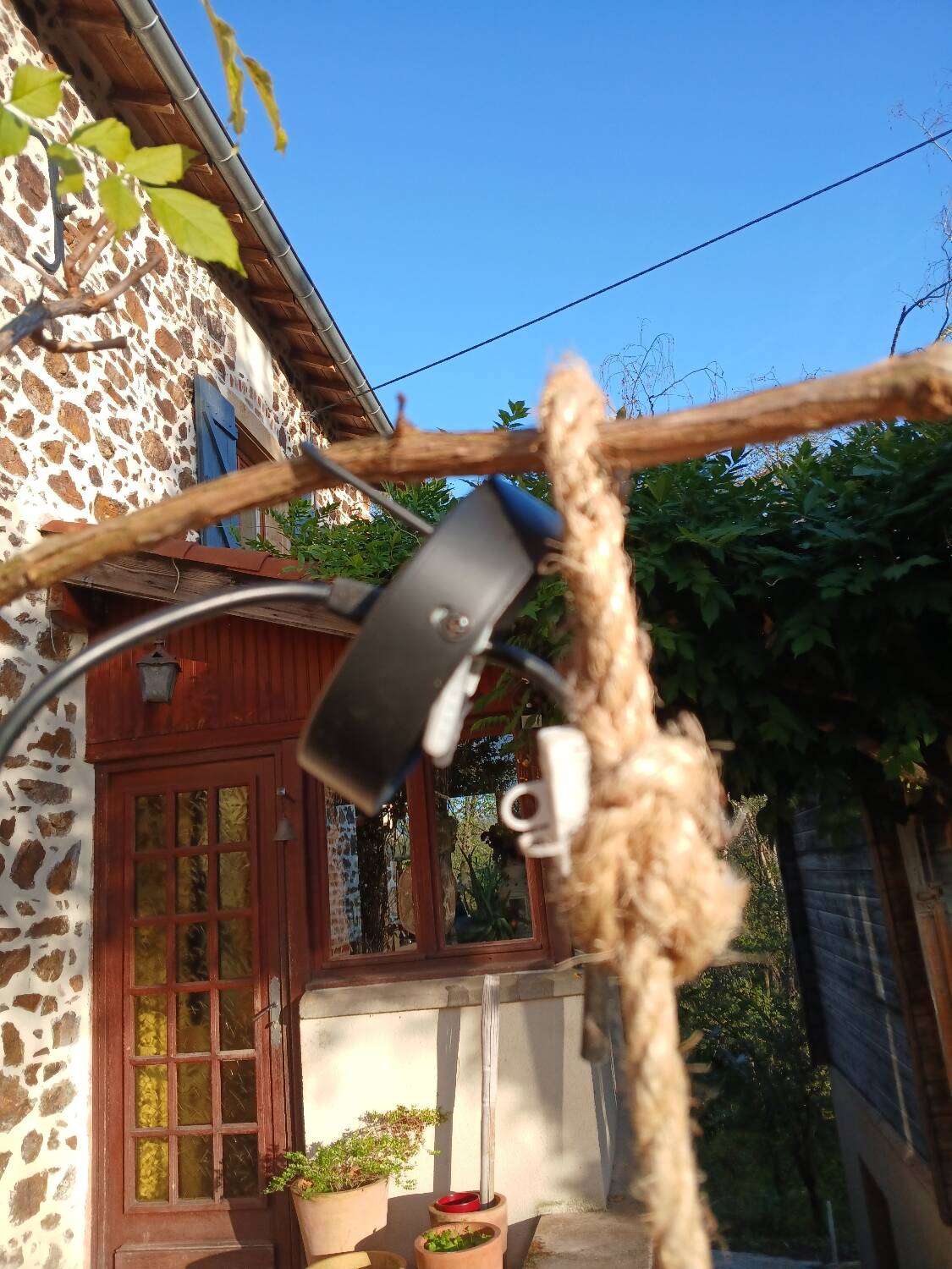 Natural rattan pendant light