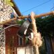 Natural rattan pendant light