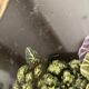 Large metal tray with cabbage pattern