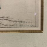 Lot of Paintings Botanical Engravings Old Vintage Herbariums