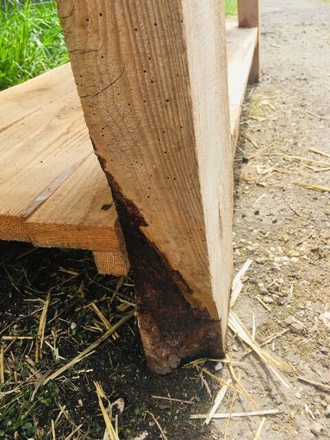 great set in '30s pretty pattine fir