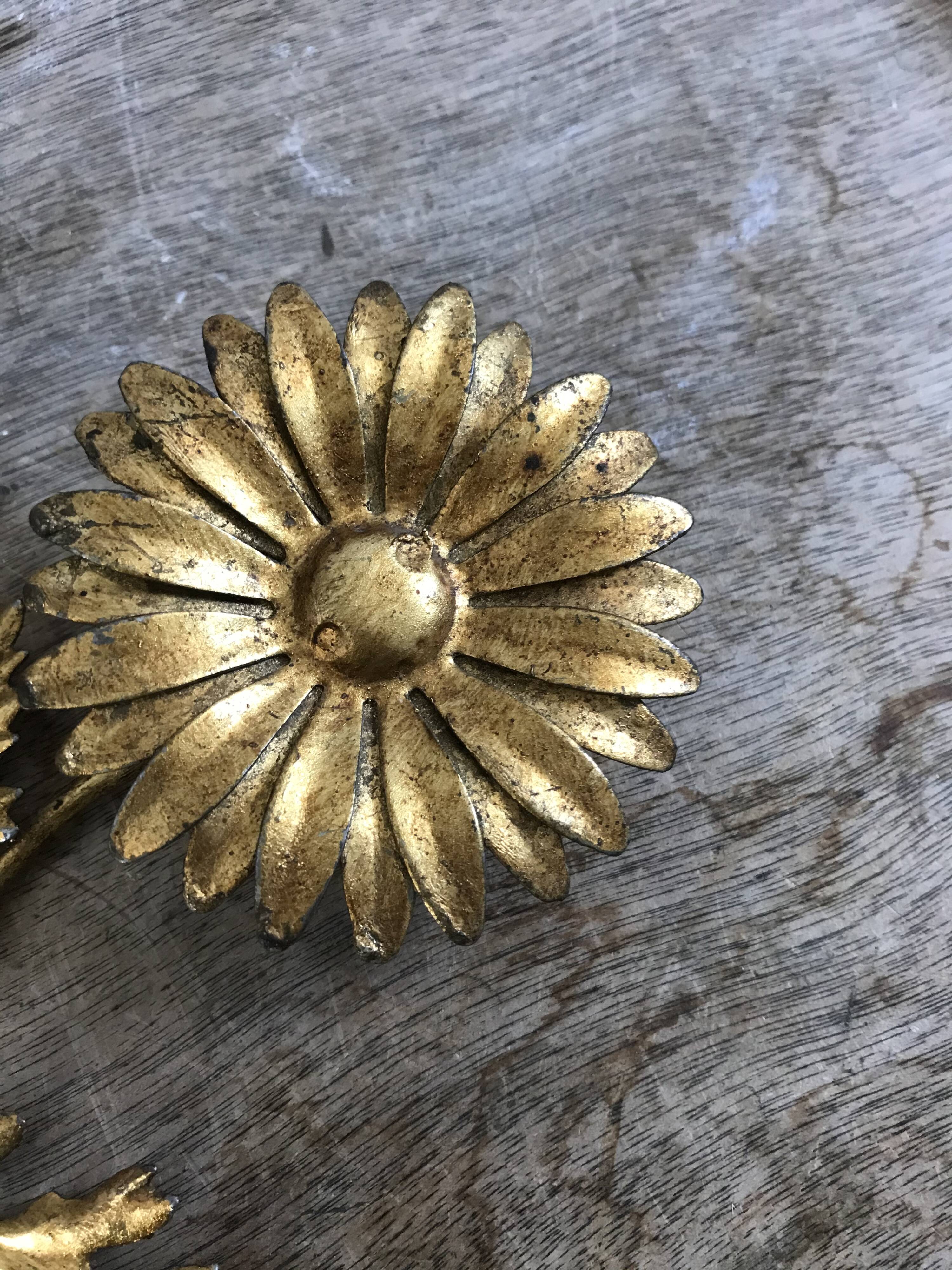 Brass flower patère