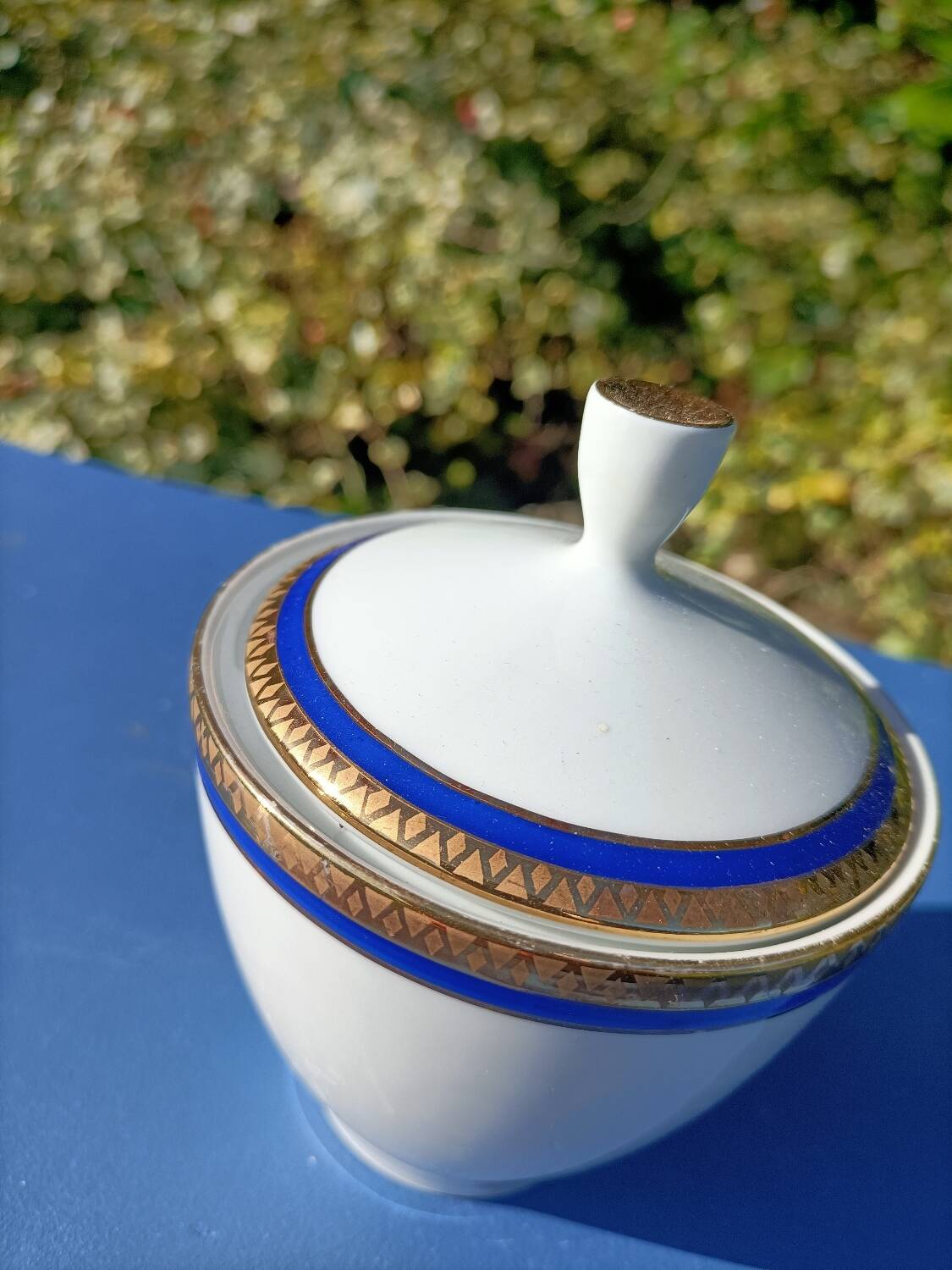 Hertel Jacob Bavaria Tea Set