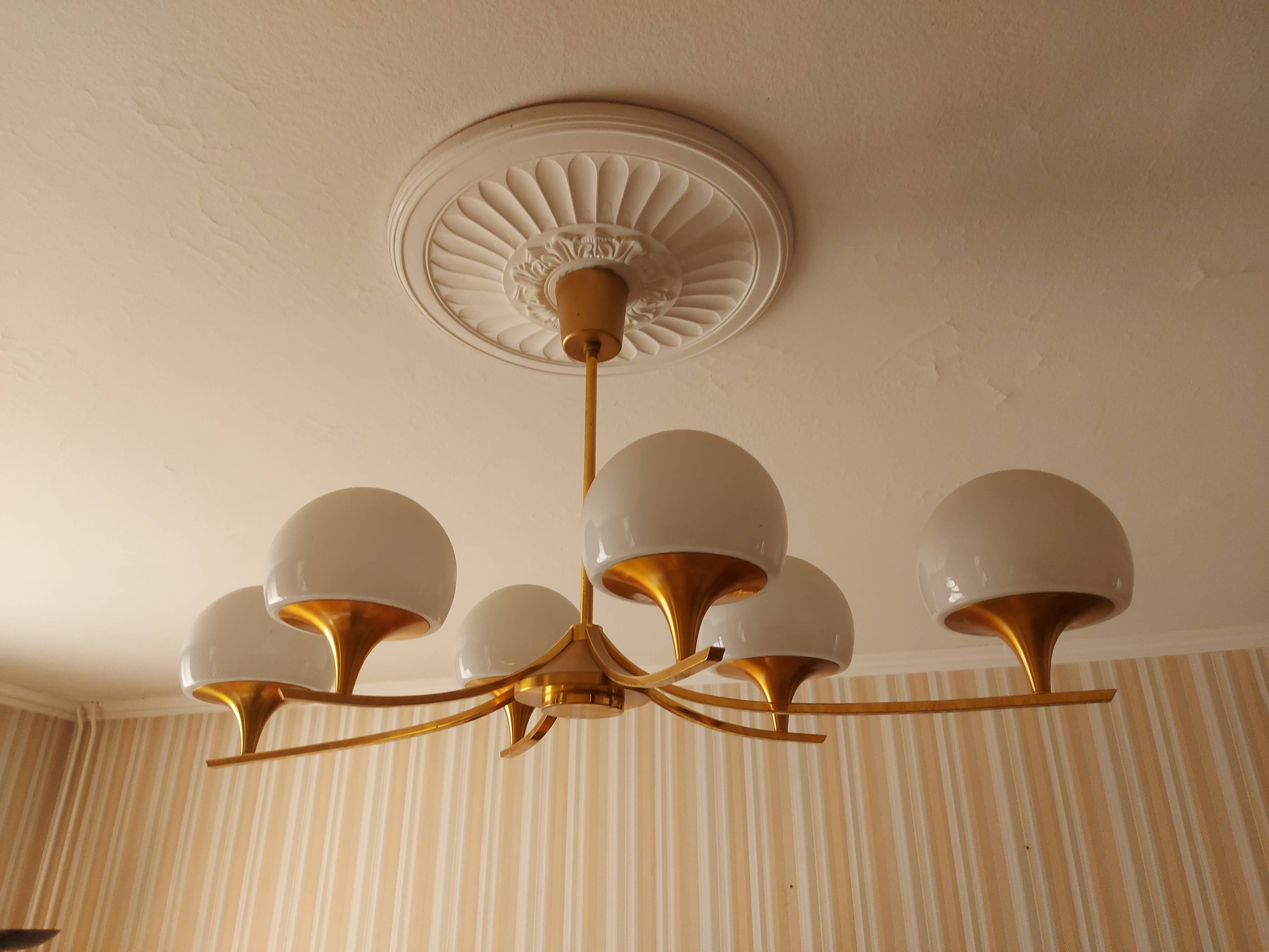 sciolari 6 lights chandelier