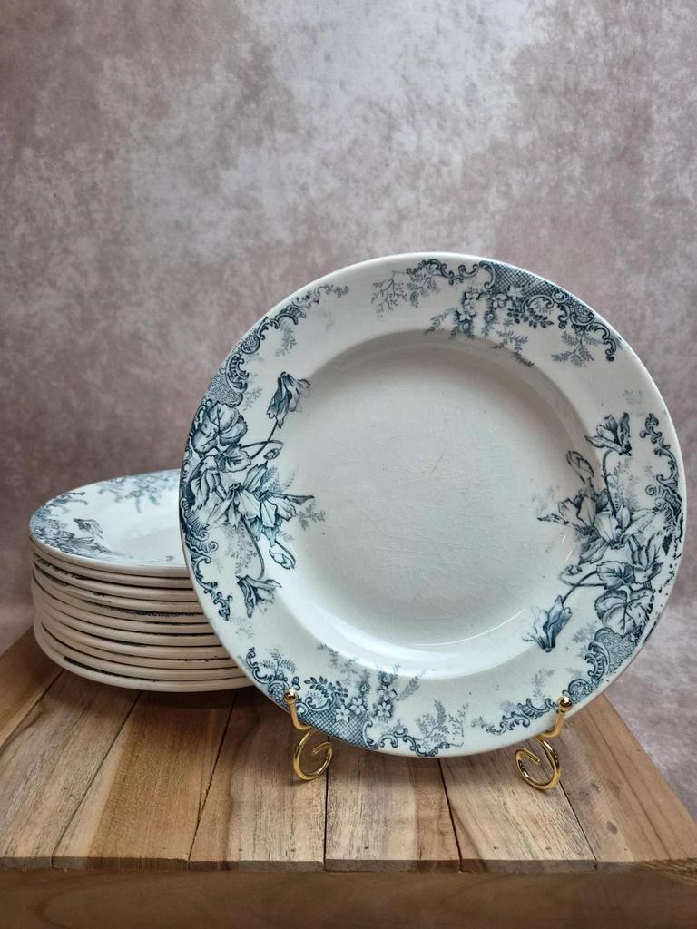 Set of 12 plates Terre de Fer Clairefontaine Cyclamens