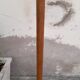 Oak Bistro Coat Rack 1900