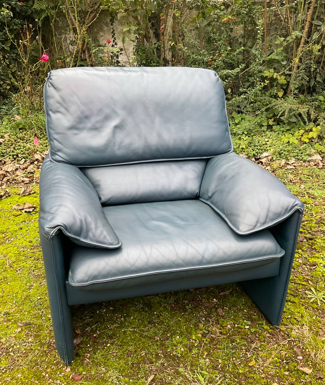 Fauteuil Bora Bora pour Leolux par Axel Enthoven