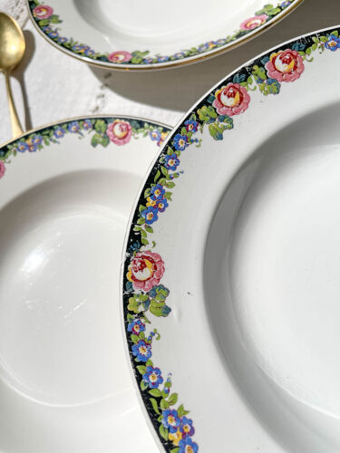 6 assiettes creuses en porcelaine opaque Digoin motif fleuris "3984"