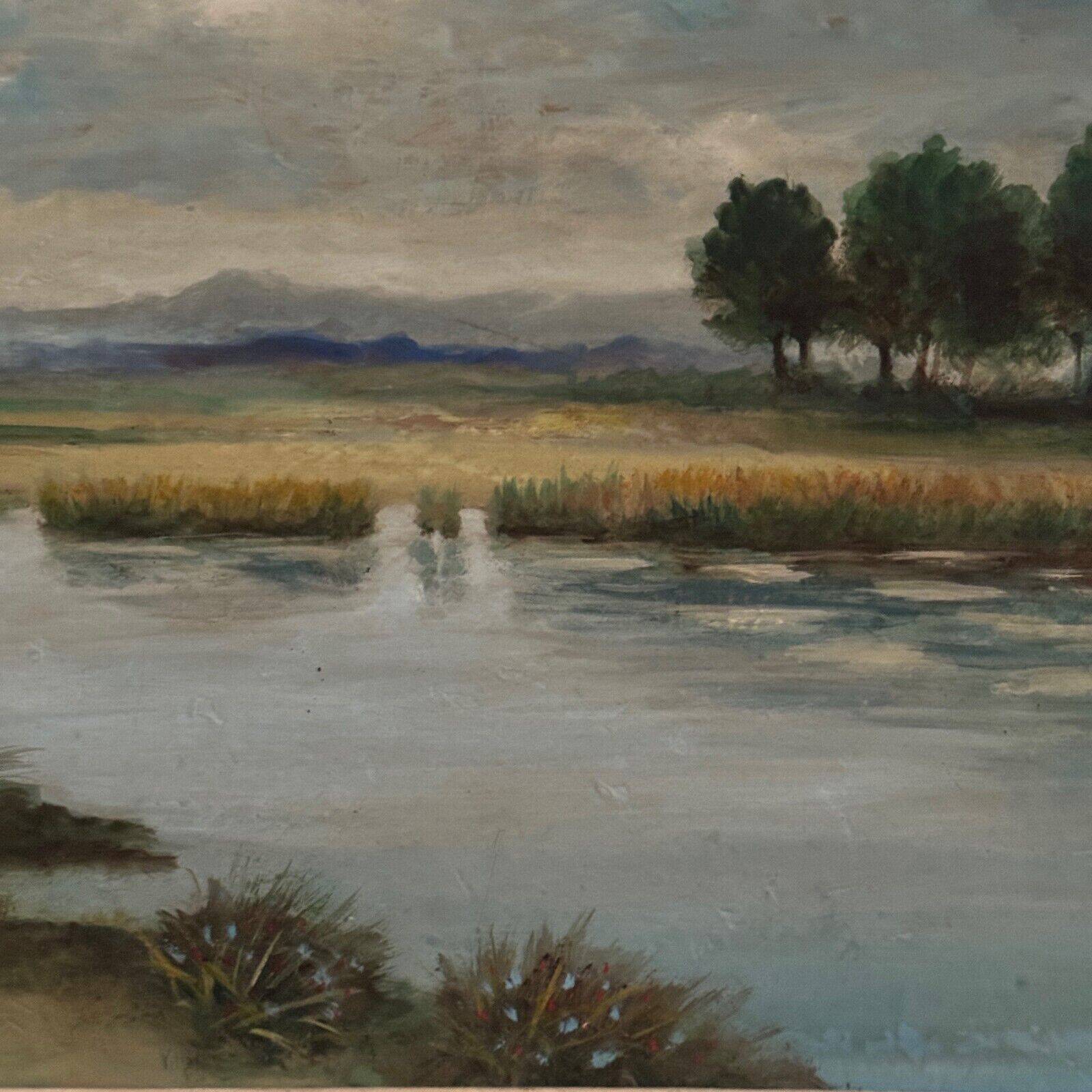 Oil on panel representing a pond 20th century