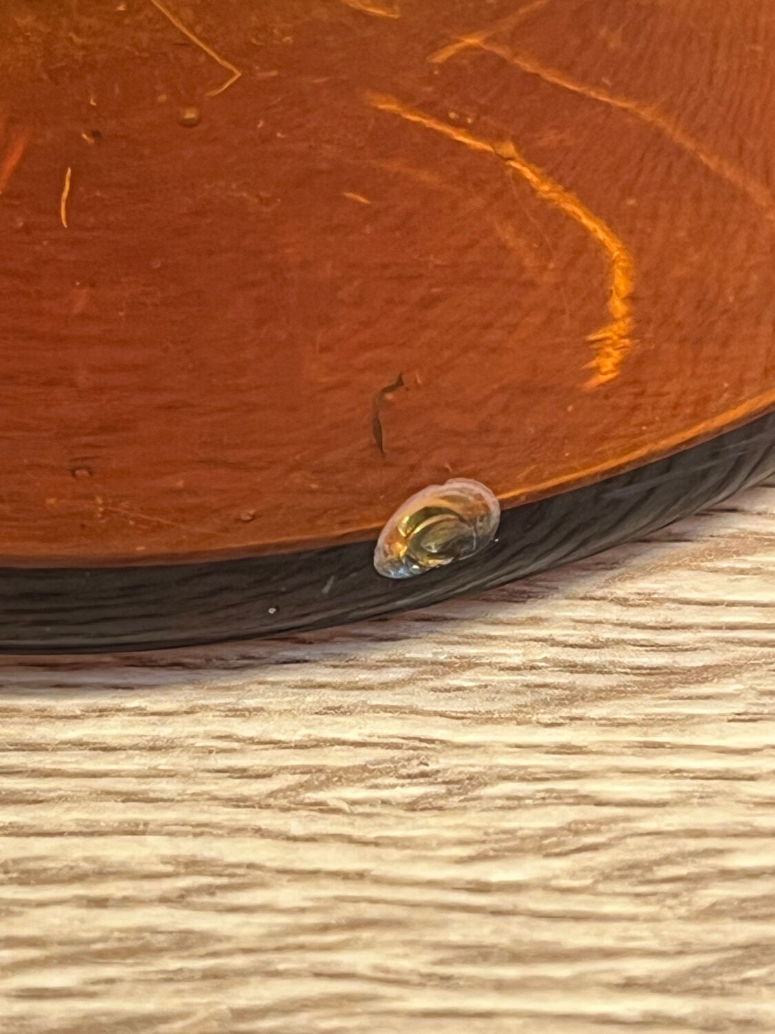 Amber glass bottle vase