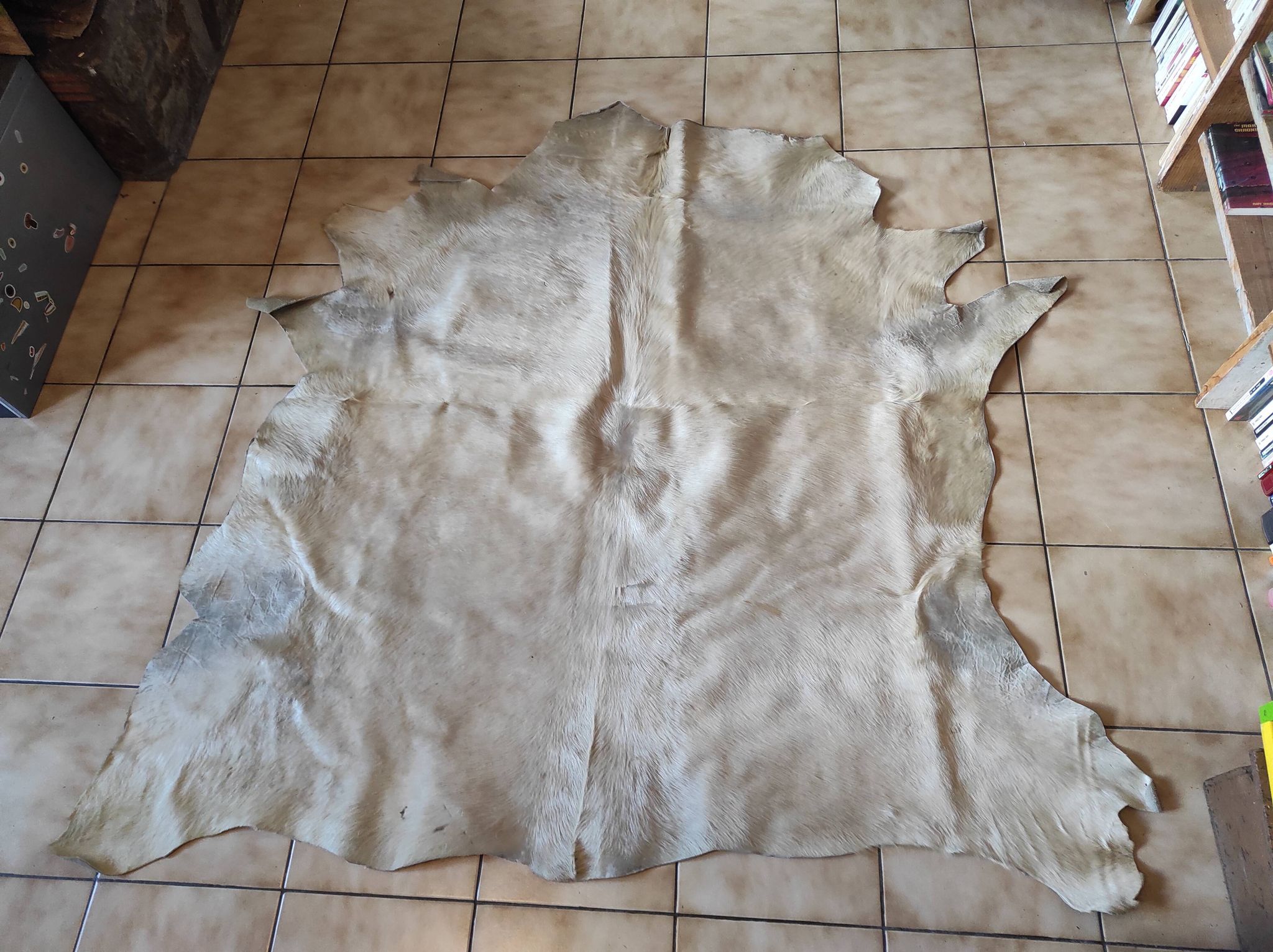Carpet descent of vintage bed in cowhide 164x176 cm with white hair