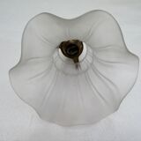 Old suspension lampshade frosted glass paste, claw and socket