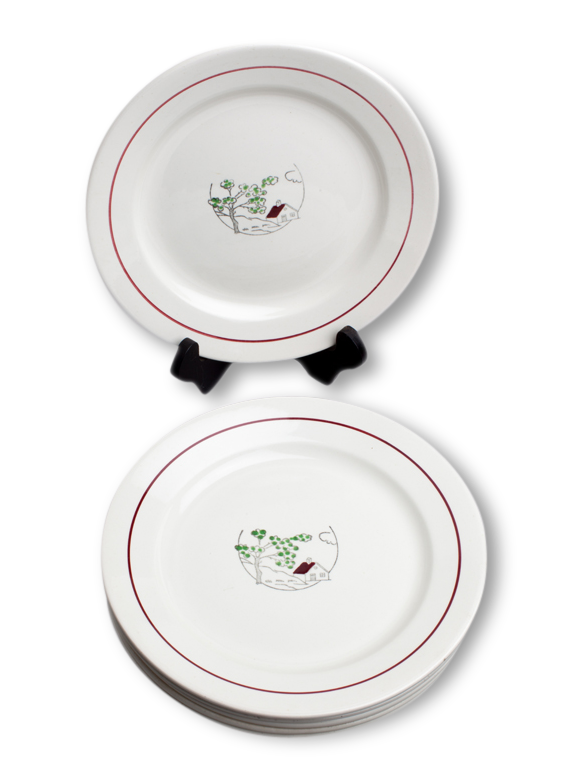 Lot of 6 plates Salins, model 'Spring'