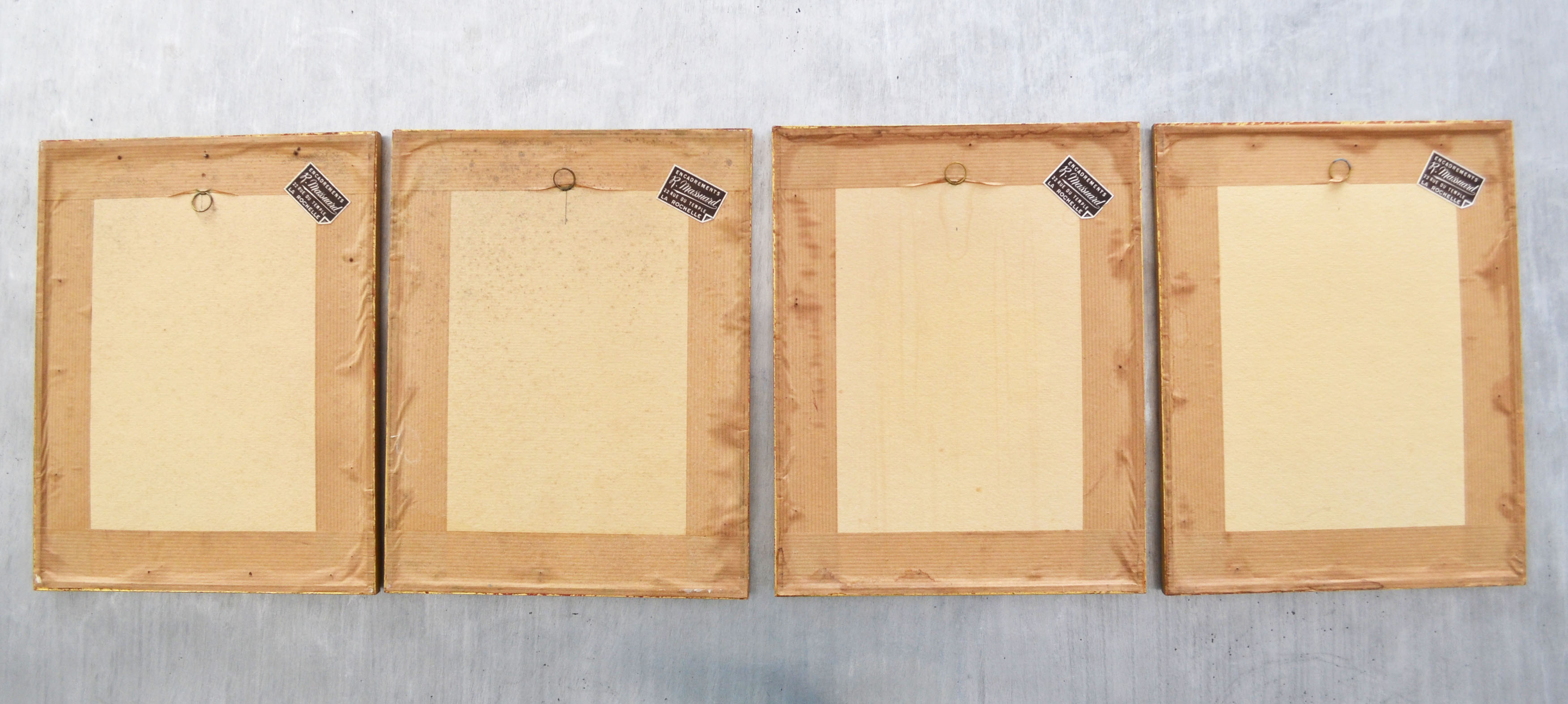 Set of 4 framed botanical and ornithological boards