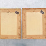 Set of 4 framed botanical and ornithological boards