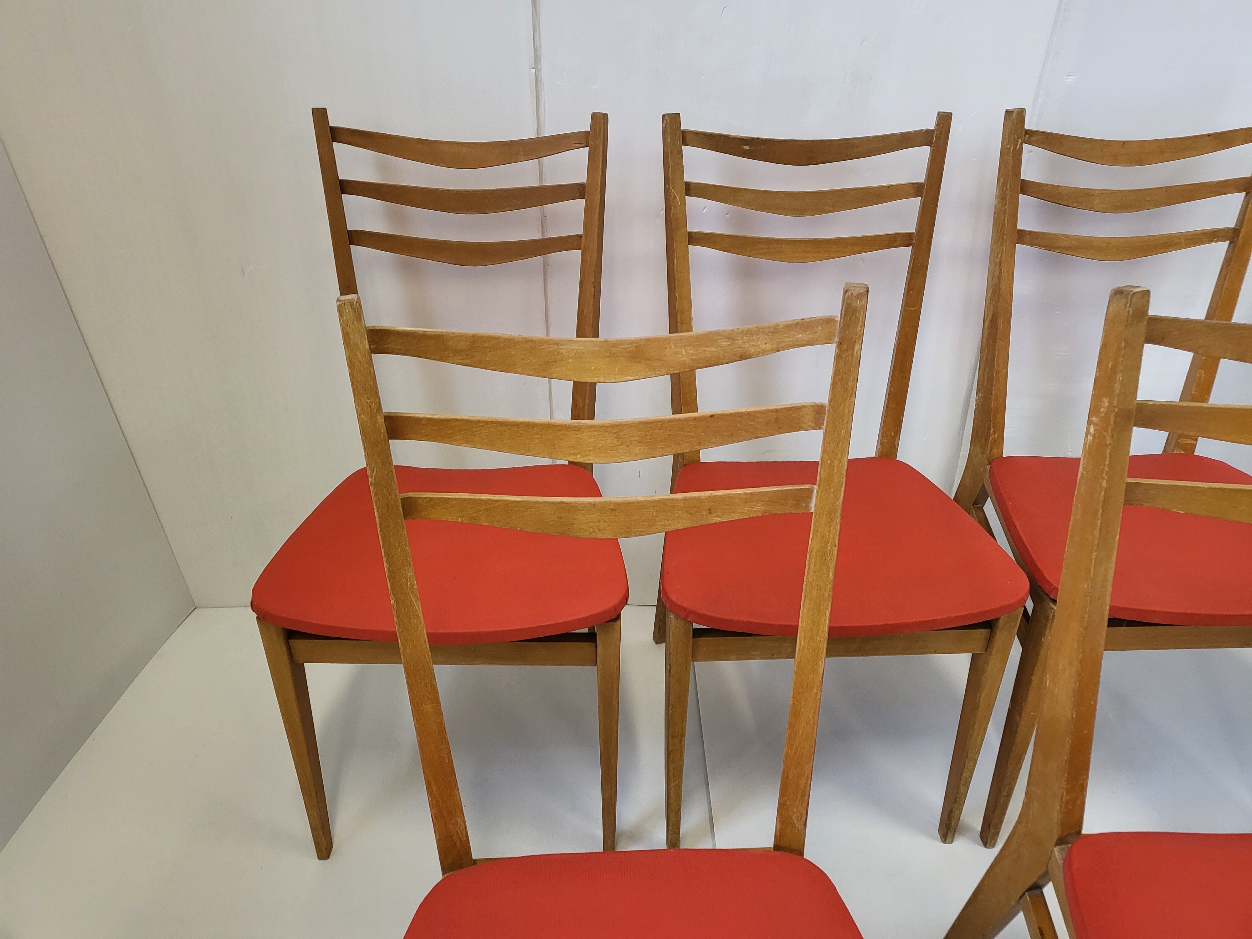 Suite of 5 chairs 1950