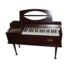 Organ child 60