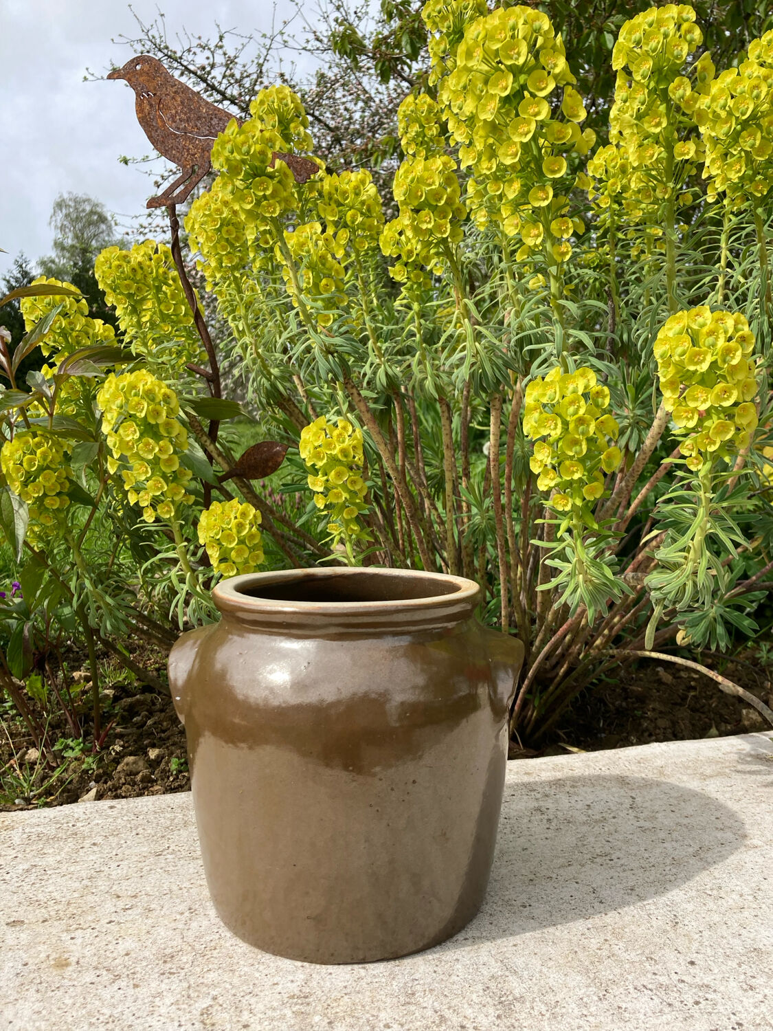 Brown stoneware jar