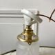 Pair of tulip wall lamps in molded glass on porcelain support 20s