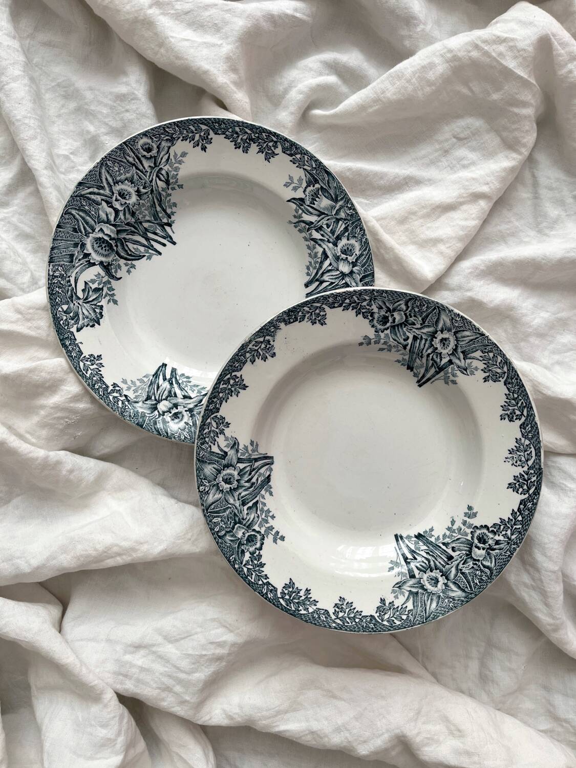 2 St Amand ironstone soup plates “Narcissus”