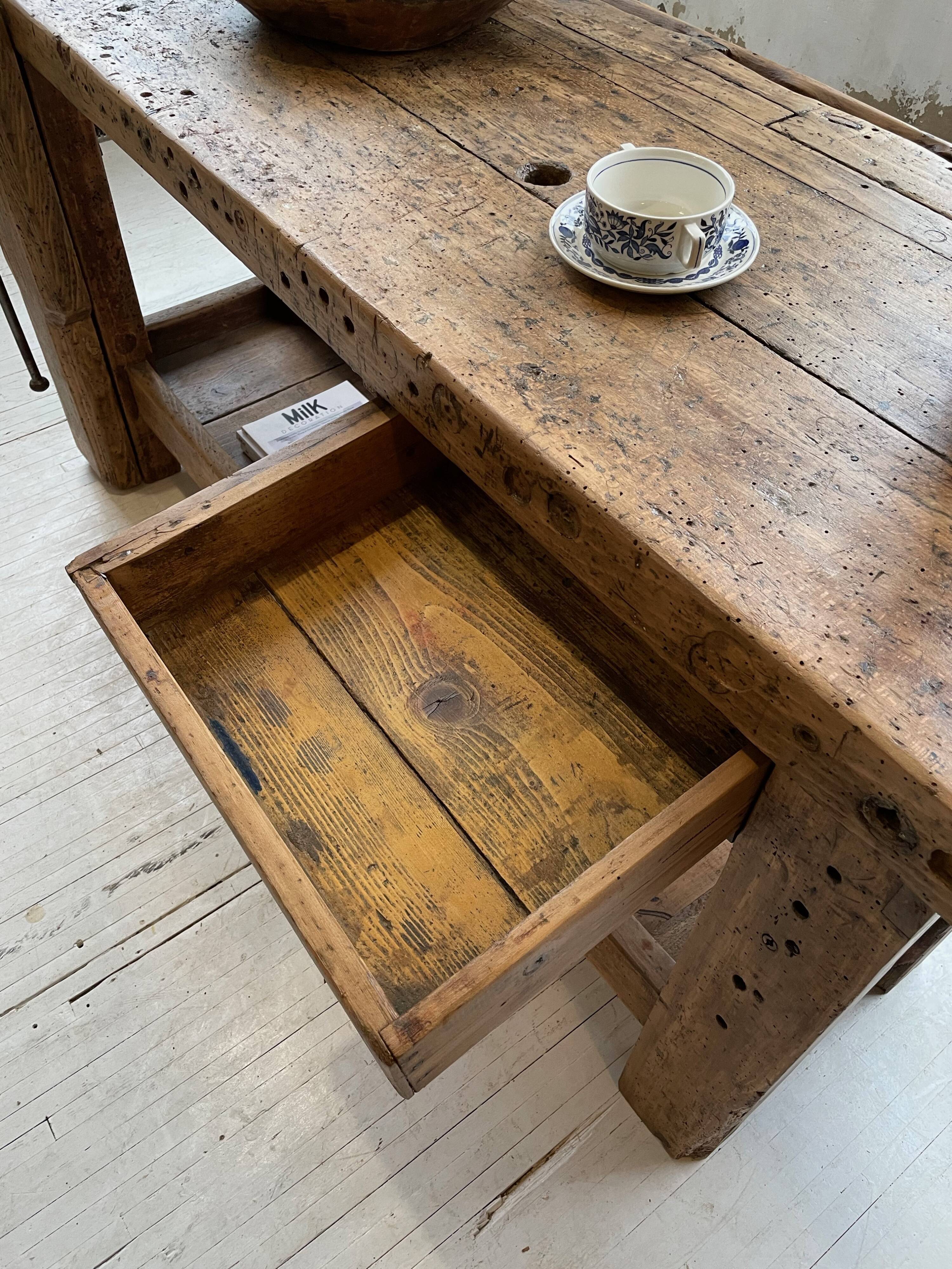 Established old oak XL