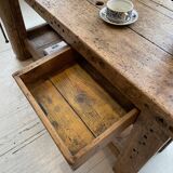 Established old oak XL