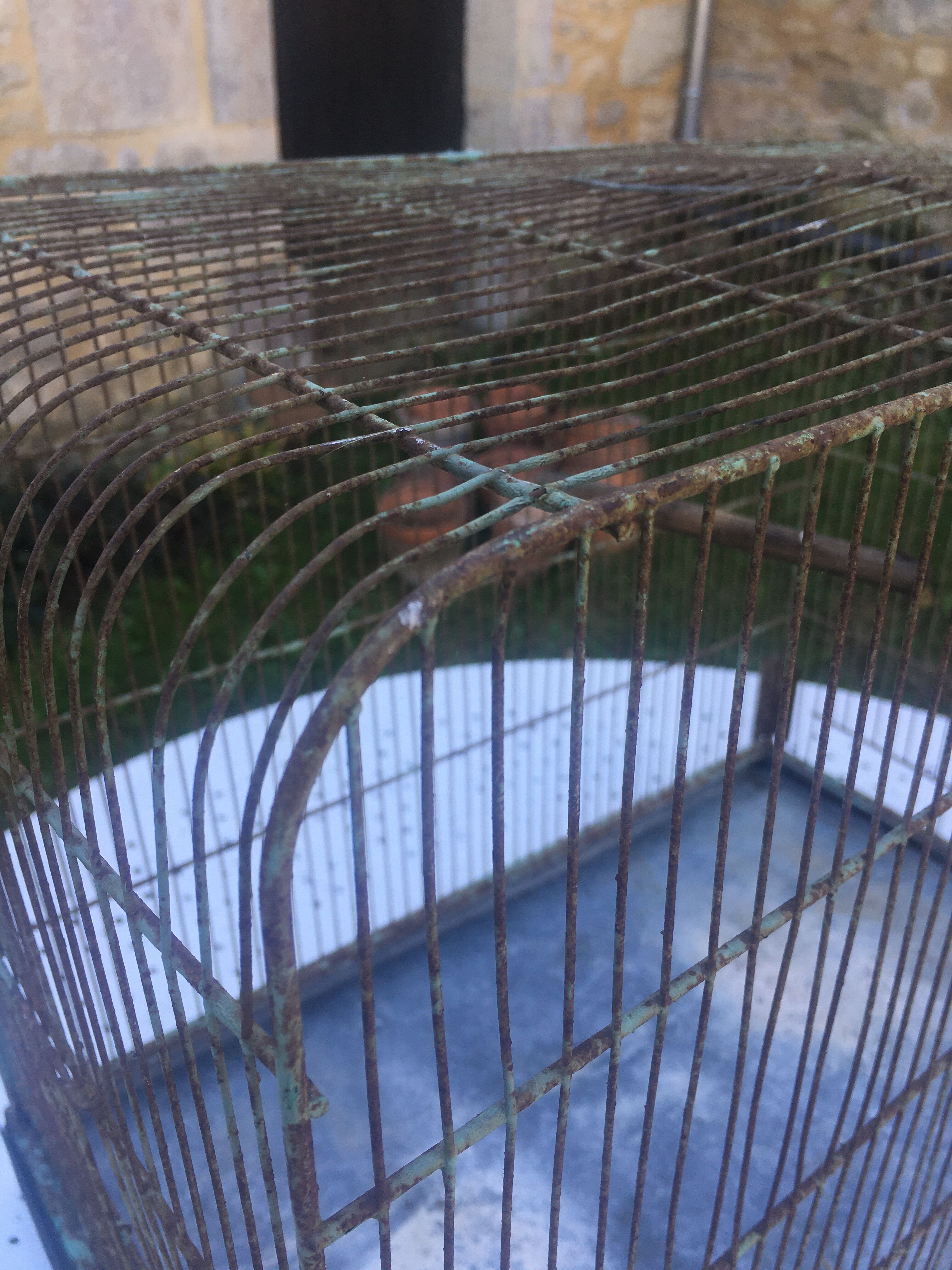 Metal bird cage