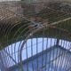 Metal bird cage