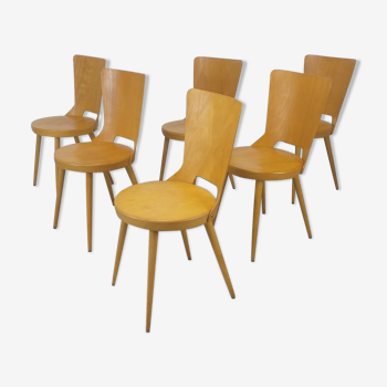 Bistro chairs brasserie Baumann model Dove vintage 50s