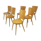 Bistro chairs brasserie Baumann model Dove vintage 50s