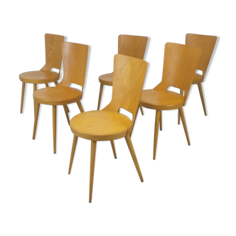 Bistro chairs brasserie Baumann model Dove vintage 50s