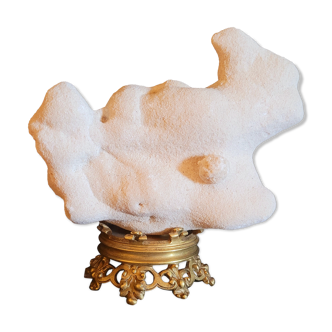 Cabinet of curiosities Naturalia and Minerals Gogotte de Fontainebleau