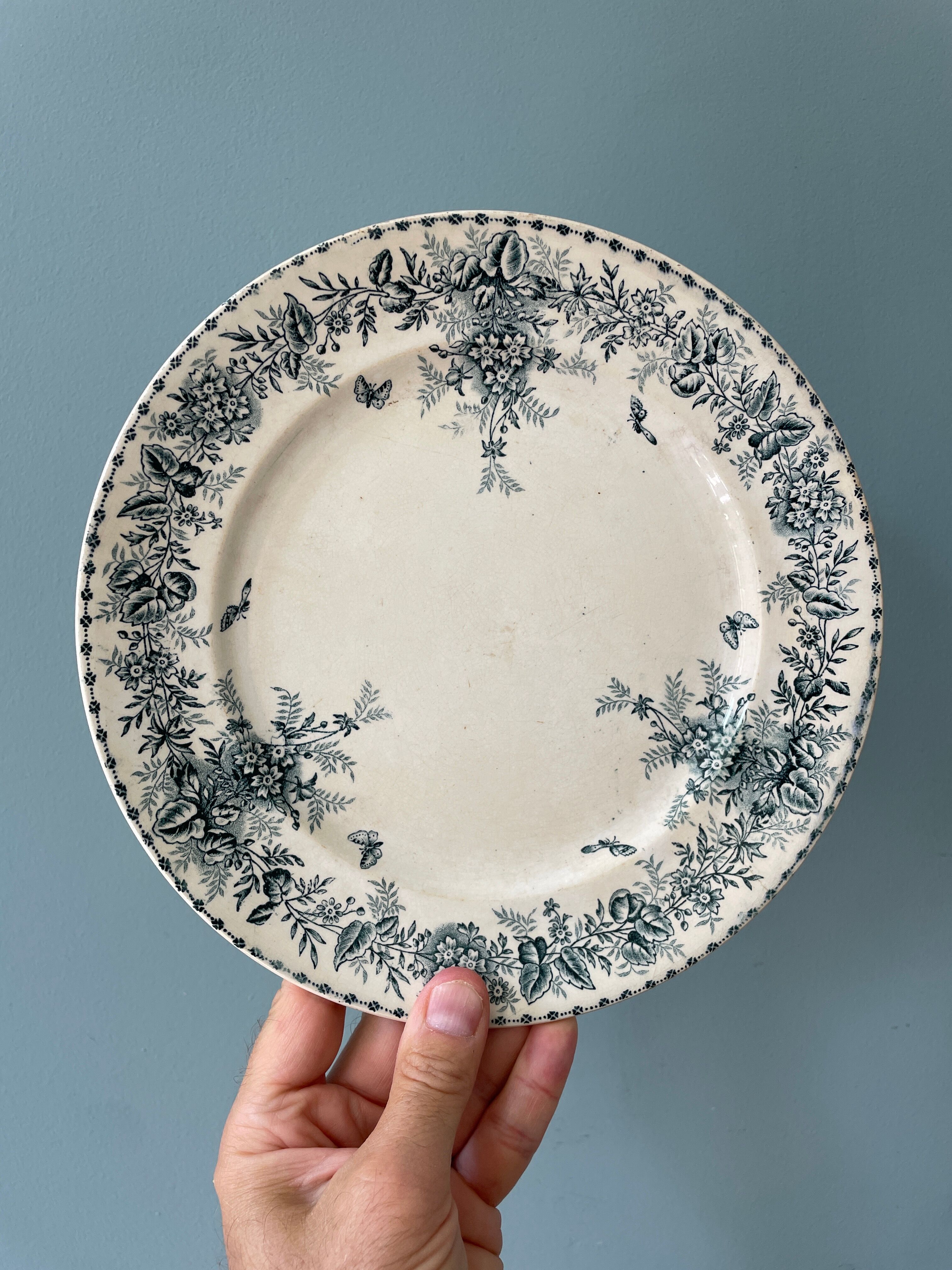 Set of 8 flat plates 19th century Terre de Fer, “Stella” Onnaing earthenware