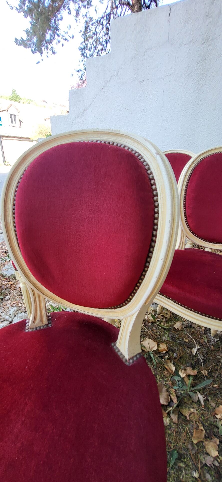 Velvet medallion chairs
