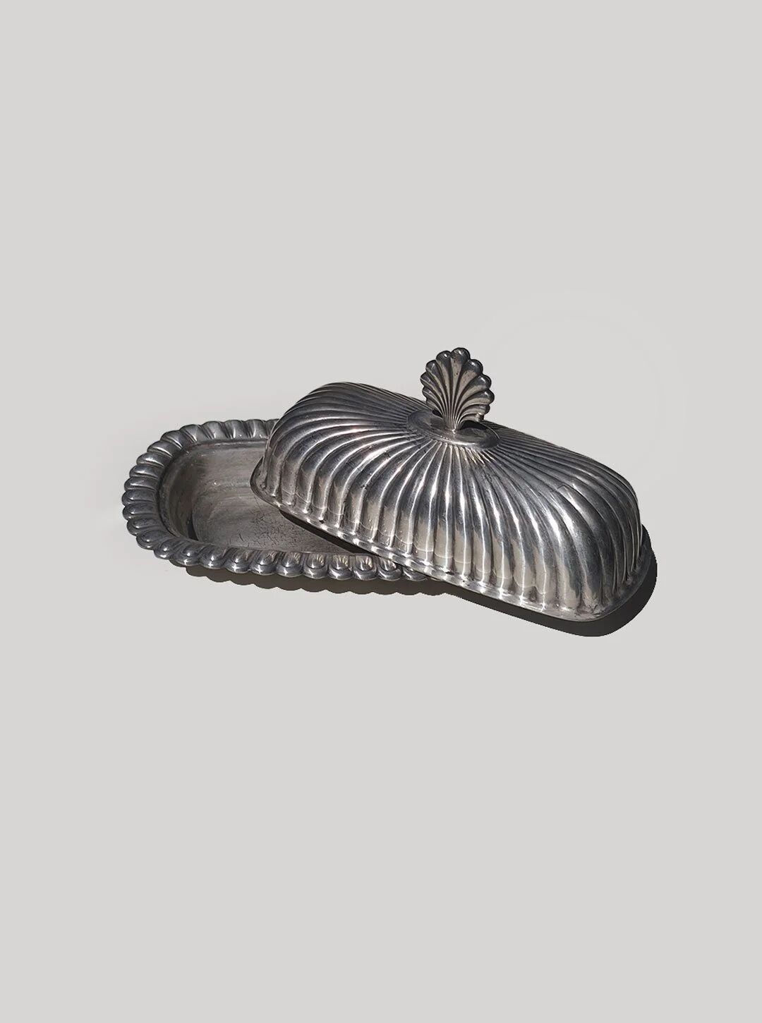 Beurrier coquillage
