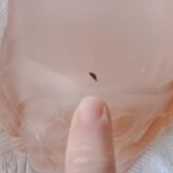 Signed ros - pink glass tulip with octagonal bell flowers - thick molded glass