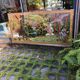 Miroir à décor d'oiseaux