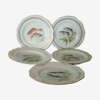 5 plates of fish serving in porcelain of france digoin n*1