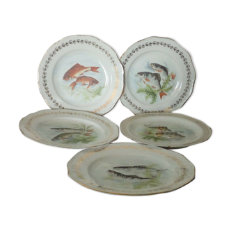 5 assiettes de service a poisson en porcelaine de france digoin n*1