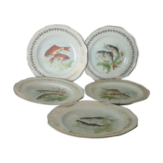 5 plates of fish serving in porcelain of france digoin n*1