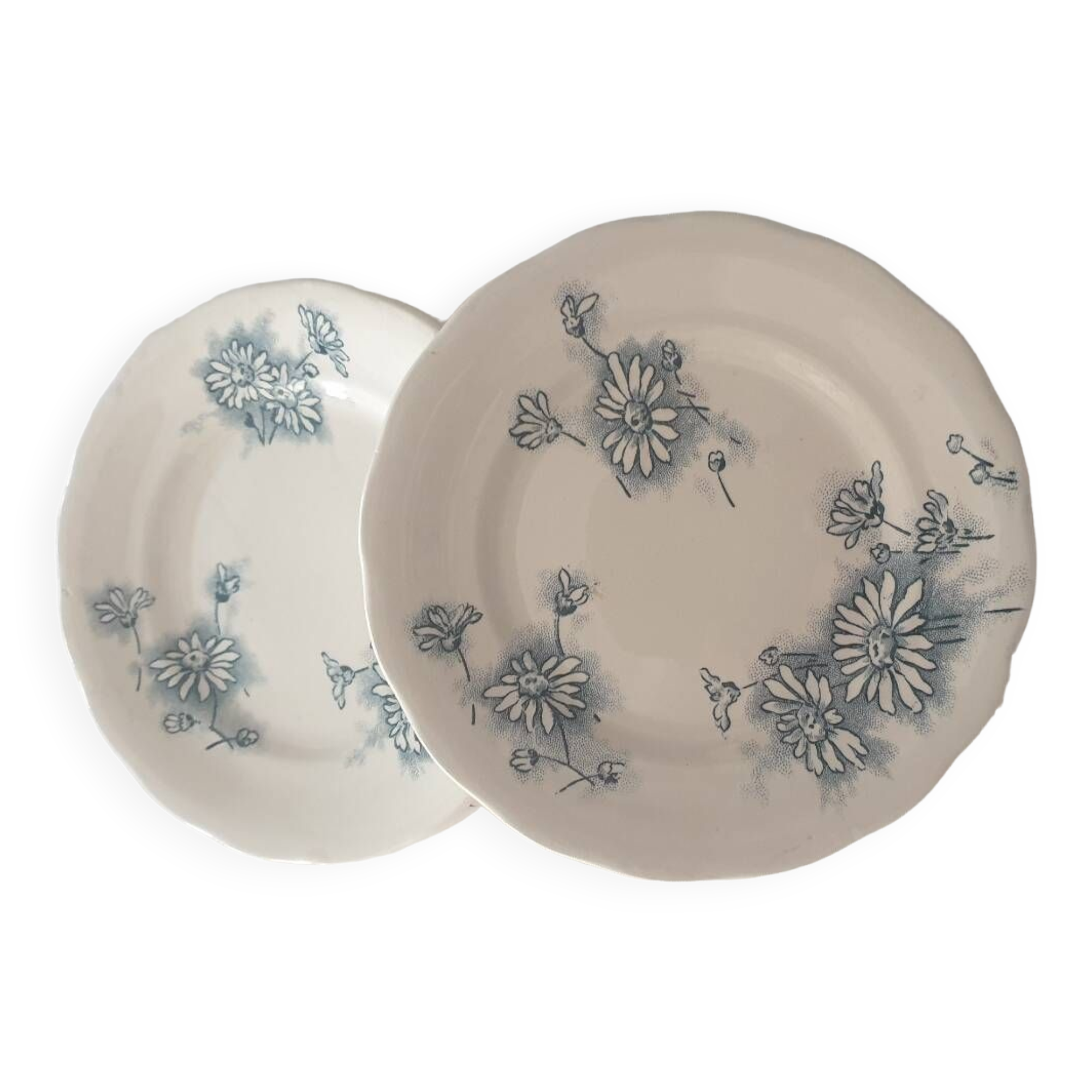 Four Marguerite plates