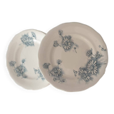 Four Marguerite plates