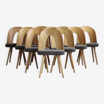 Ensemble de 10 chaises de salle à manger par A.Šuman, rembourrage personnalisable disponible