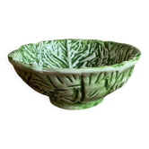 Green cabbage 🥬
