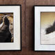 Set of 2 prints by the photographer Manfred Seelow.