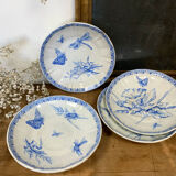 Insect plates