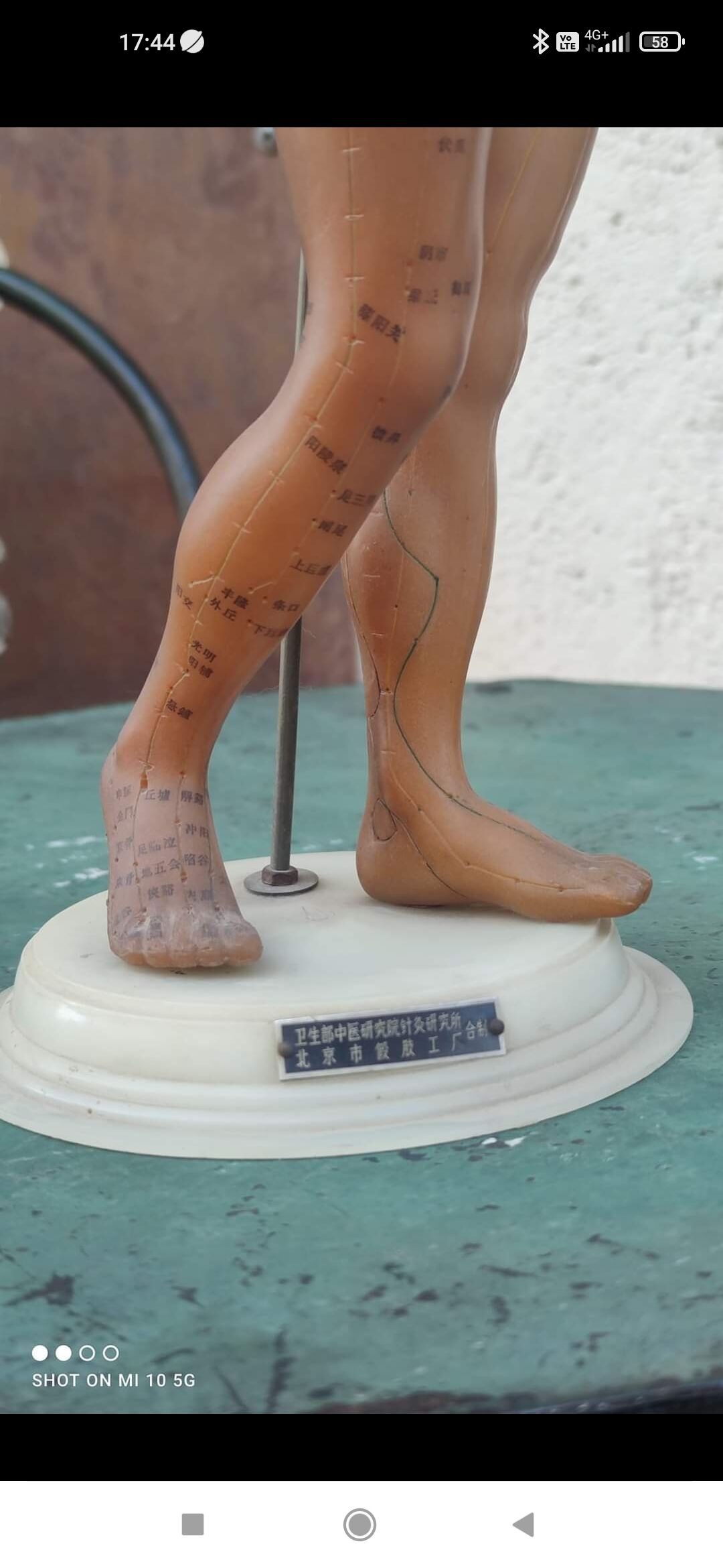 Acupuncture mannequin circa 1960