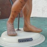 Acupuncture mannequin circa 1960