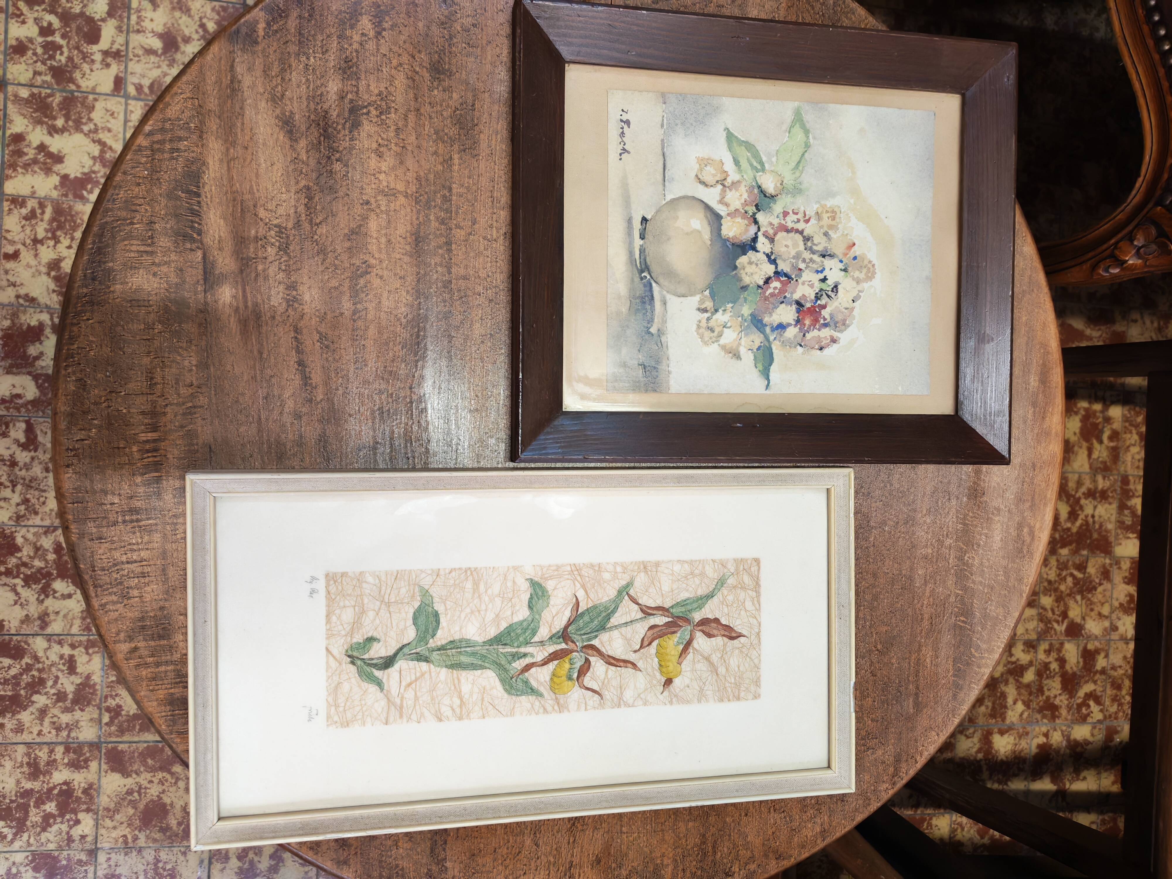 Set of two vintage flower illustrations